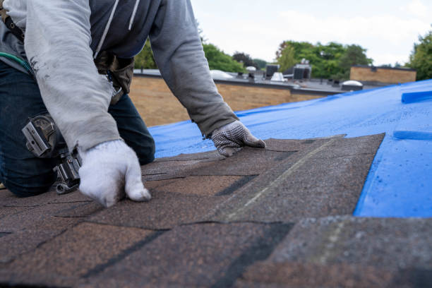 Best Shingle Roofing Installation  in Hooks, TX