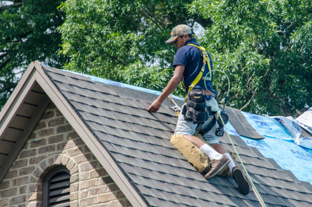 Best Flat Roof Repair Services  in Hooks, TX