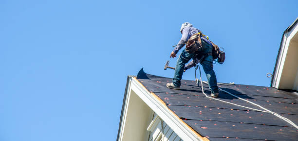 Best Roof Waterproofing Services  in Hooks, TX